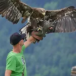 בית הארחה Julia