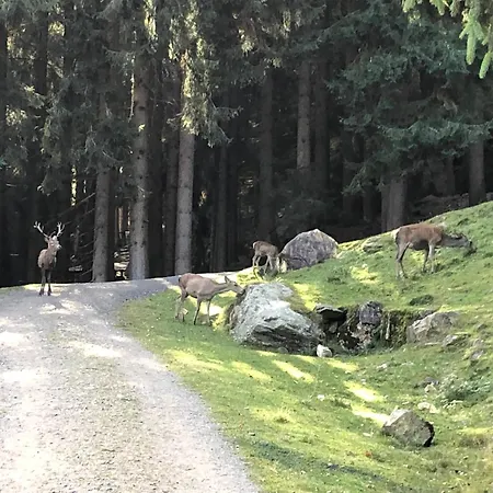 Julia 3* Feld am See