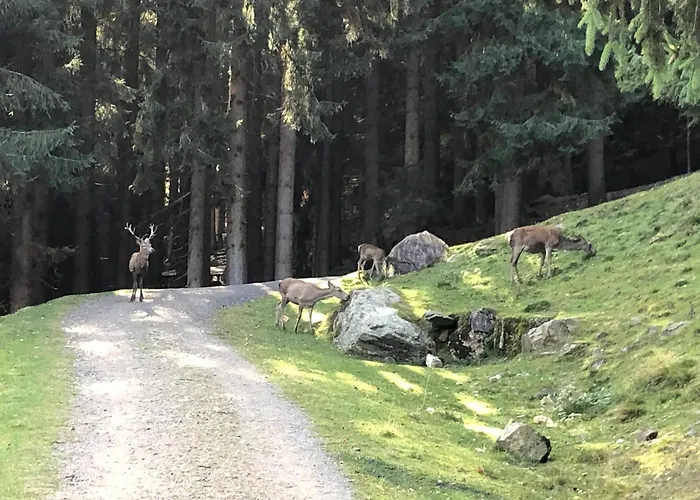 Julia 3* Feld am See